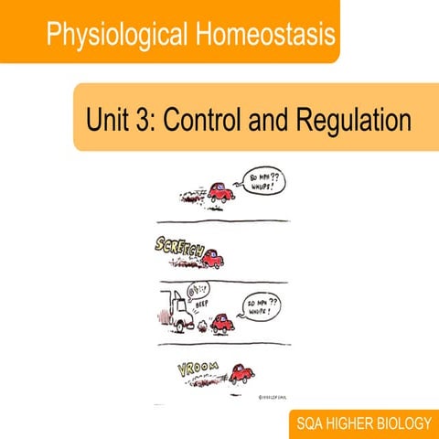 Physiological Homeostasis