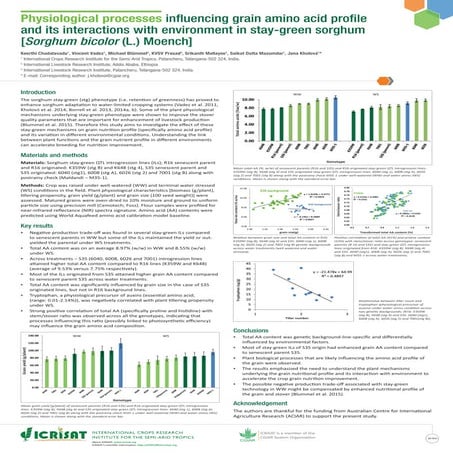 Physiological processes influencing grain amino acid profile and its interact...