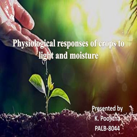 Physiological responses of crops to light and moisture