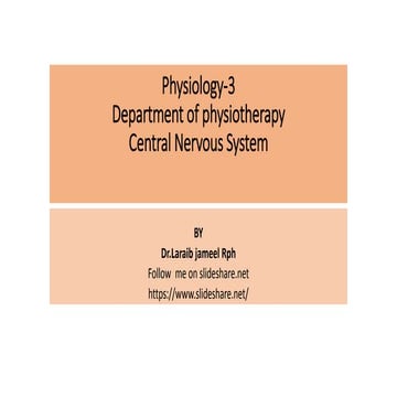 central nervous system
