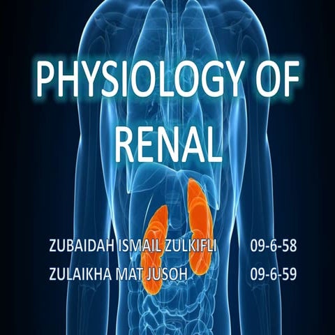 Physiology of kidney