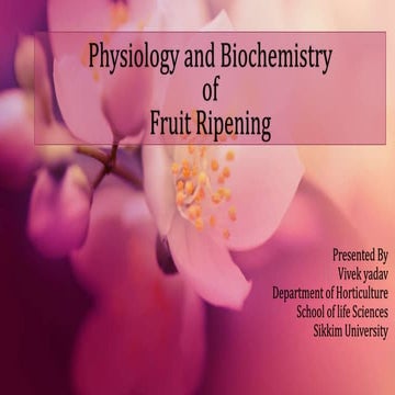 Physiology and biochemistry of ripening fruit