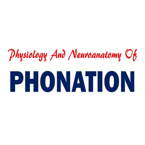 Physiology and neuroanatomy of phonation