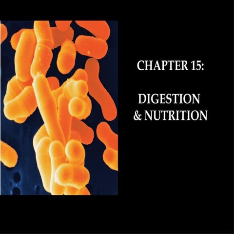 Physiology CH 15 lecture notes