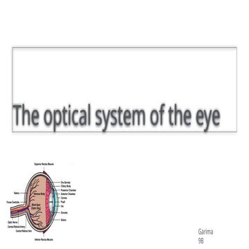Physiology eye rods and cobes(Garima.9b).pptx