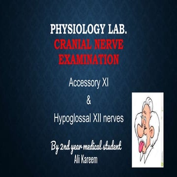 Accessory nerve | PDF