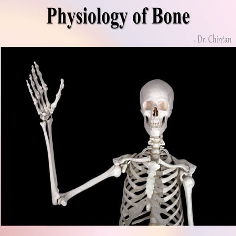 Physiology of bone