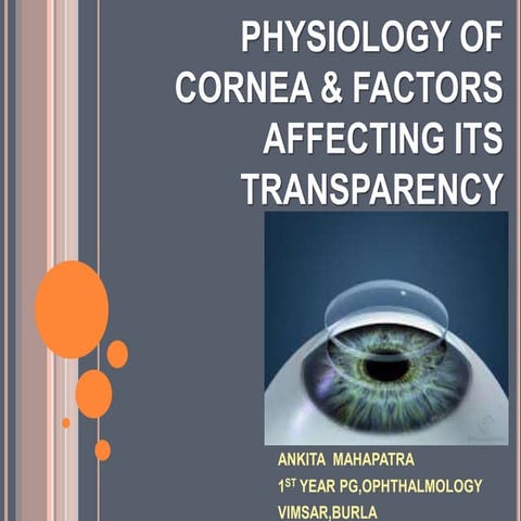 Physiology of cornea