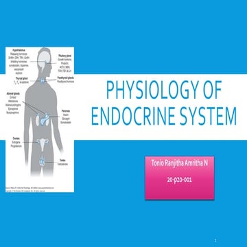 Physiology of Endocrine System 