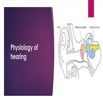 Comprehensive Physiology of Hearing: From Sound Waves to Neural Signals ...