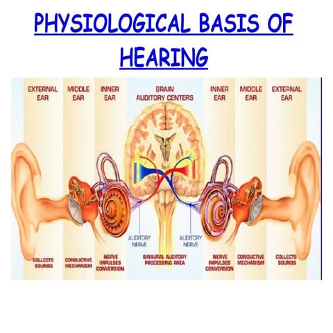 Physiology of hearing 21st july 11