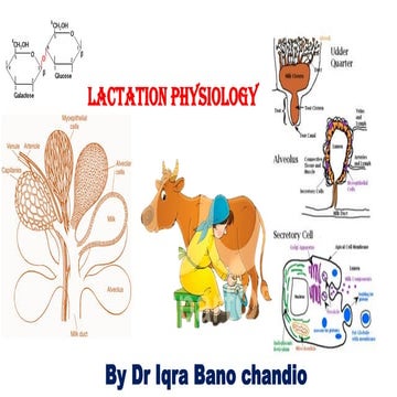 PHYSIOLOGY OF LACTION IN ANIMALS.pdf