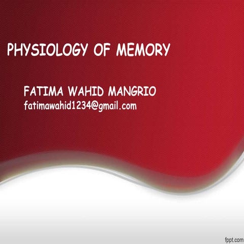Physiology of memory