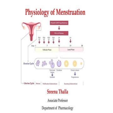 Physiology of Menstration and Ovarian Cycle