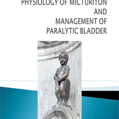 Physiology of micturiton