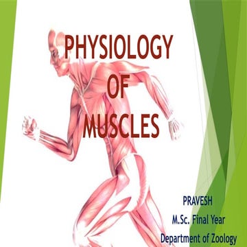 Physiology of muscles by Pravesh M.Sc. II year.pptx