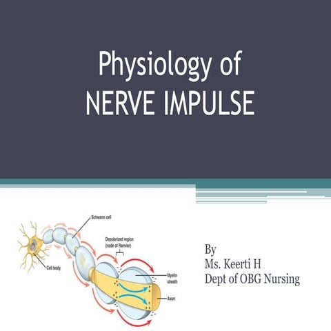 Physiology of NERVE IMPULSE and action potential