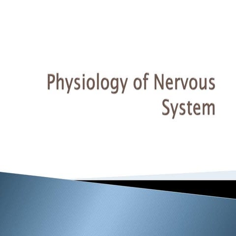 Physiology Of Nervous System