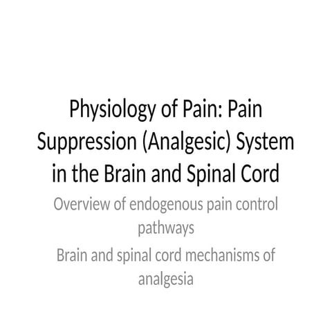 Comprehensive Physiology of Pain and the Body's Analgesic System | PDF