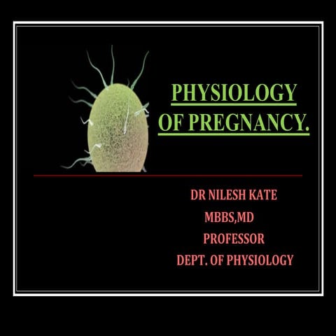 Physiology of pregnancy