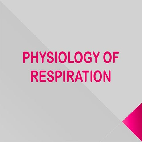 Physiology of respiration