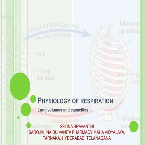 Physiology of respiration