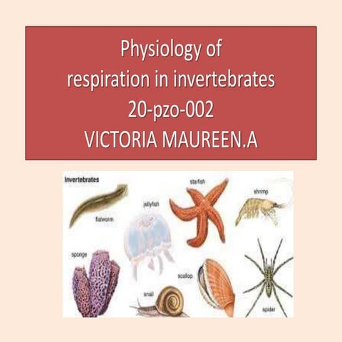 Physiology of Respiration in Invertebrates