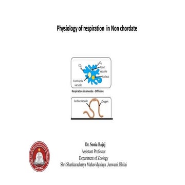 Comparative Anatomy & Physiology of Respiration in  Non chordata.pptx