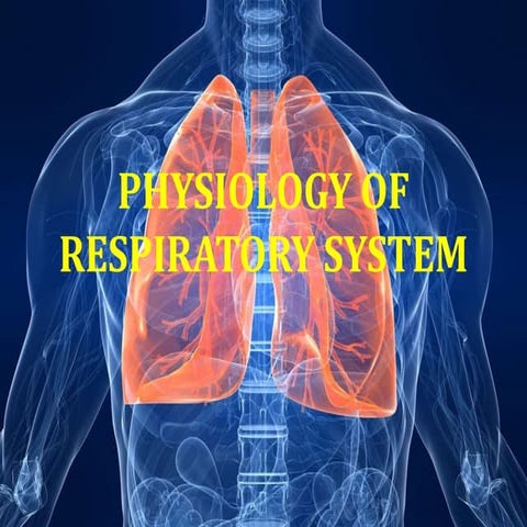 Respiratory System - Physiology