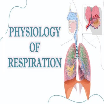 Physiology of Respiratory System.pptx