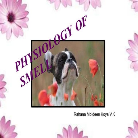 Physiology of smell