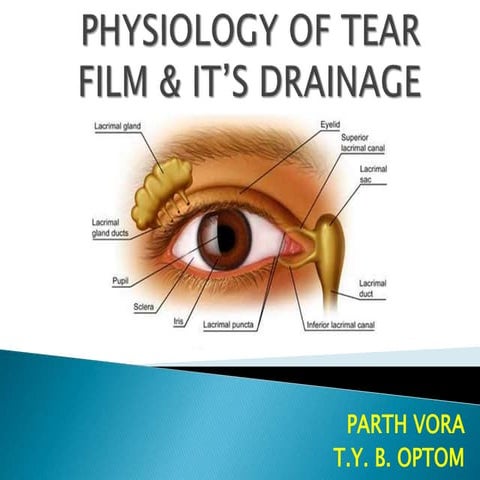 anatomy And Physiology of tear film 