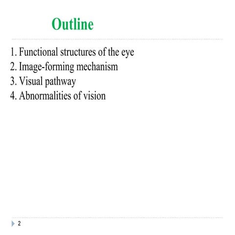VISUAL REFLEXES.pptx