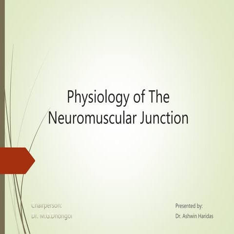 Physiology of the Neuromuscular Junction