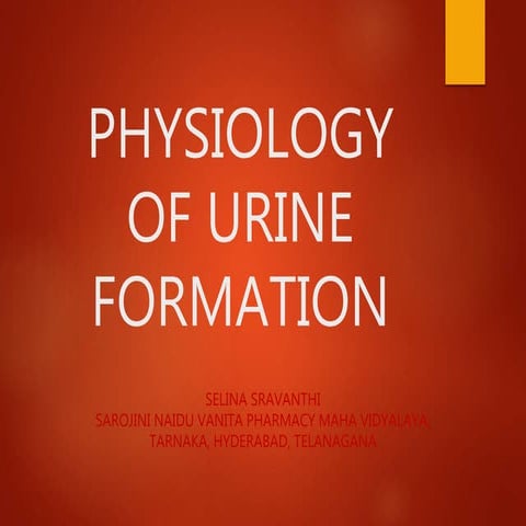 physiology-of-urine-formation-ppt