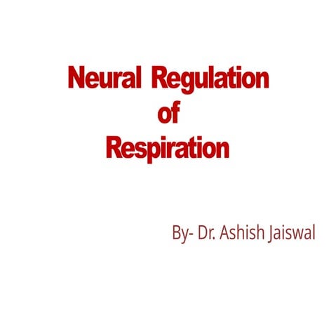 neural regulation of respiration a topic of basics sciences