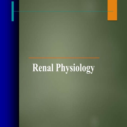 physiology renal system.ppt