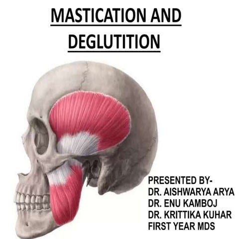 Mastication And Deglutition