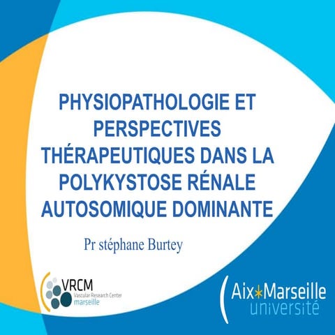 Physiopathologie et perspectives thérapeutiques dans la polykystose rénale