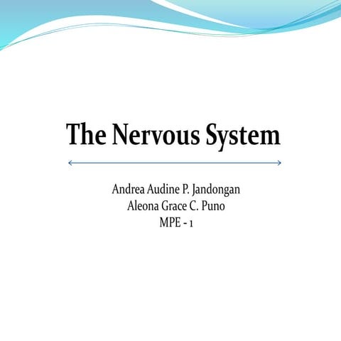 The Nervous System