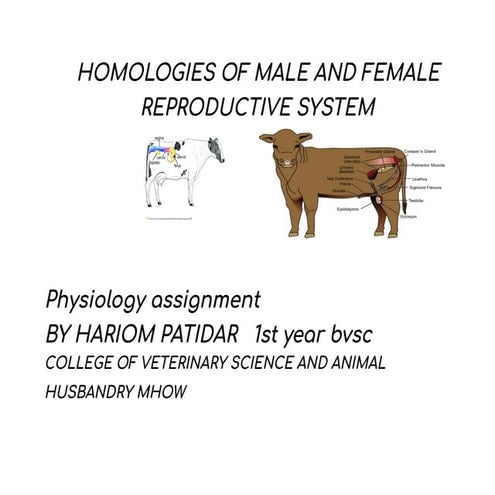 physio sign Untitled document - Google Docs.pdf