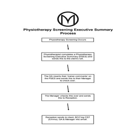 Physiotherapy screening executive summary process (flow chart)