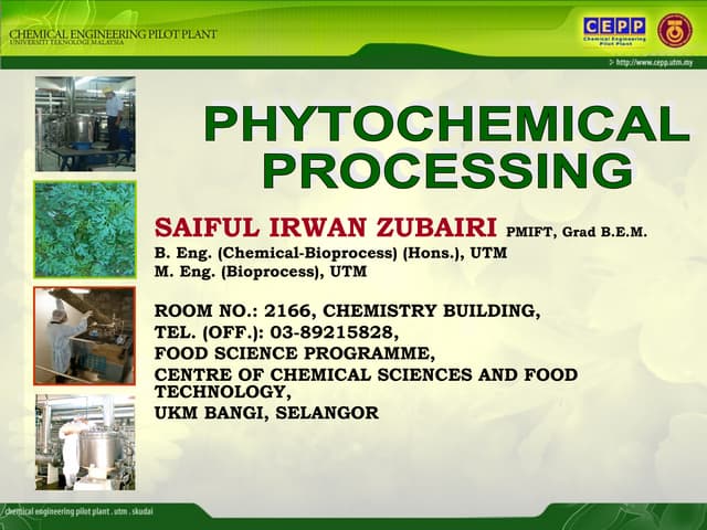 Phytochemical Processing