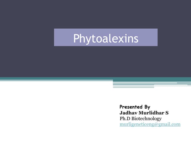 Phytoalexins