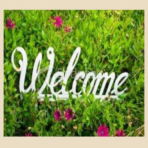 Phytoalexins by sajad nabi