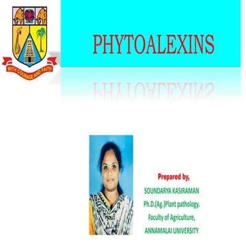 Phytoalexins