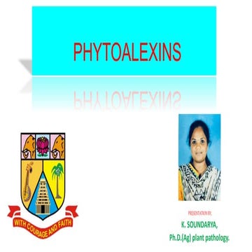 Phytoalexins 