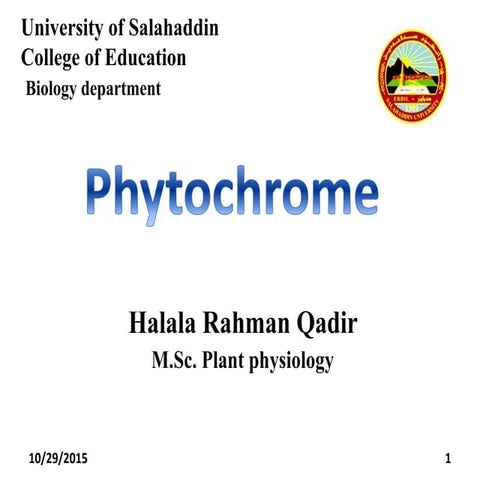 Phytochrome