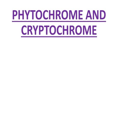 Phytochrome and cryptochrome