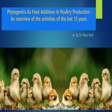 Phytogenics as feed additives in poultry production